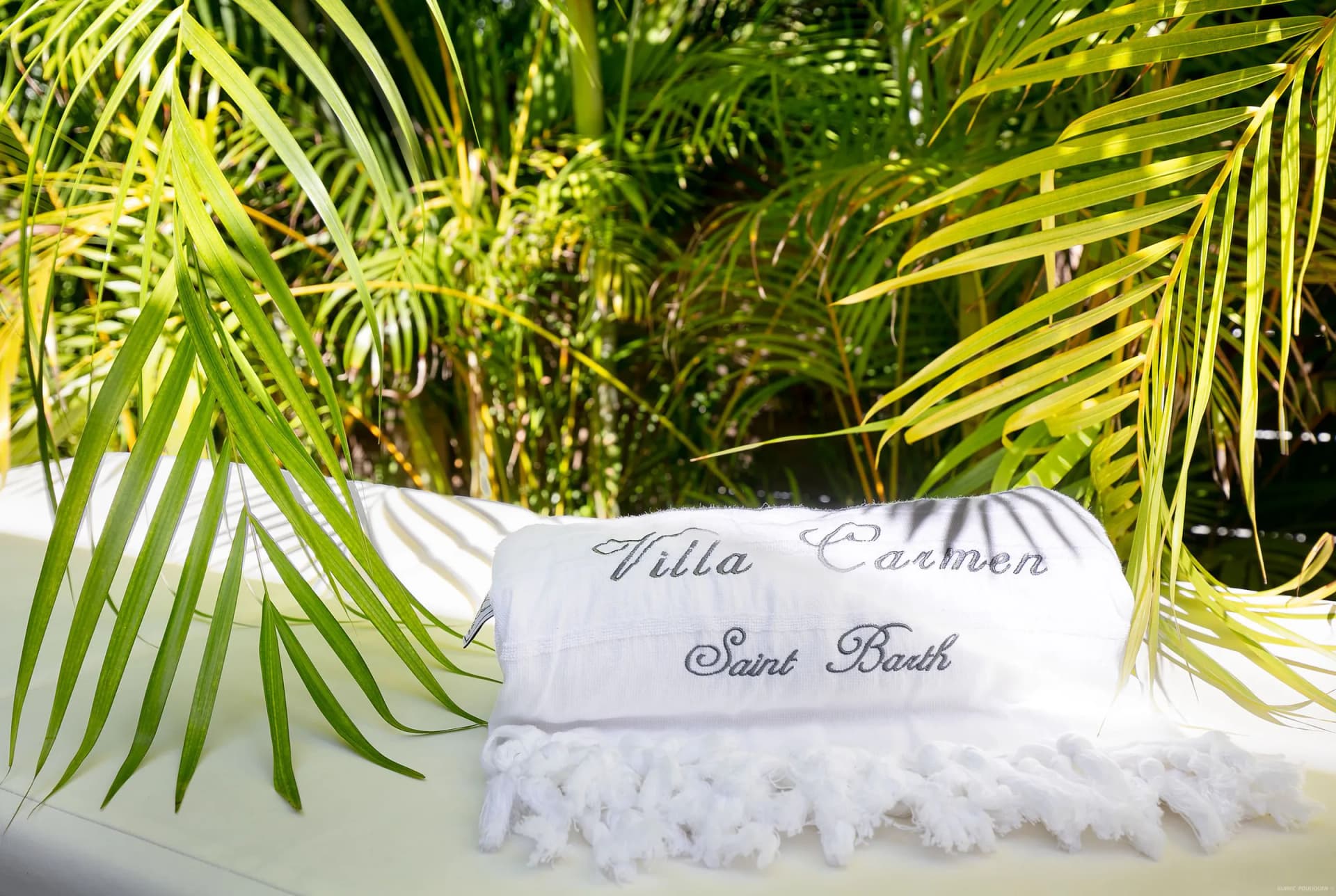 Villa Carmen & Apartment Loumag— Your Private Sanctuary in St. Barth! - Image 17