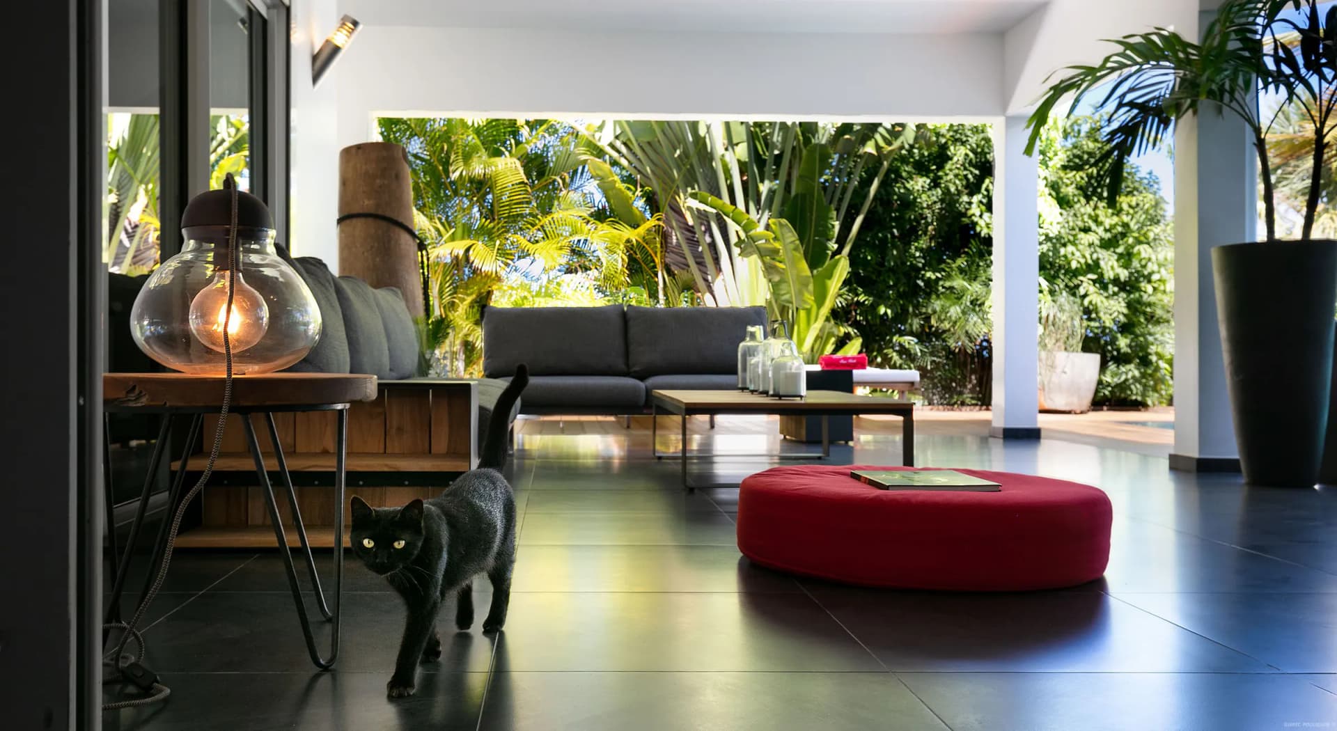 Villa Carmen & Apartment Loumag— Your Private Sanctuary in St. Barth! - Image 20