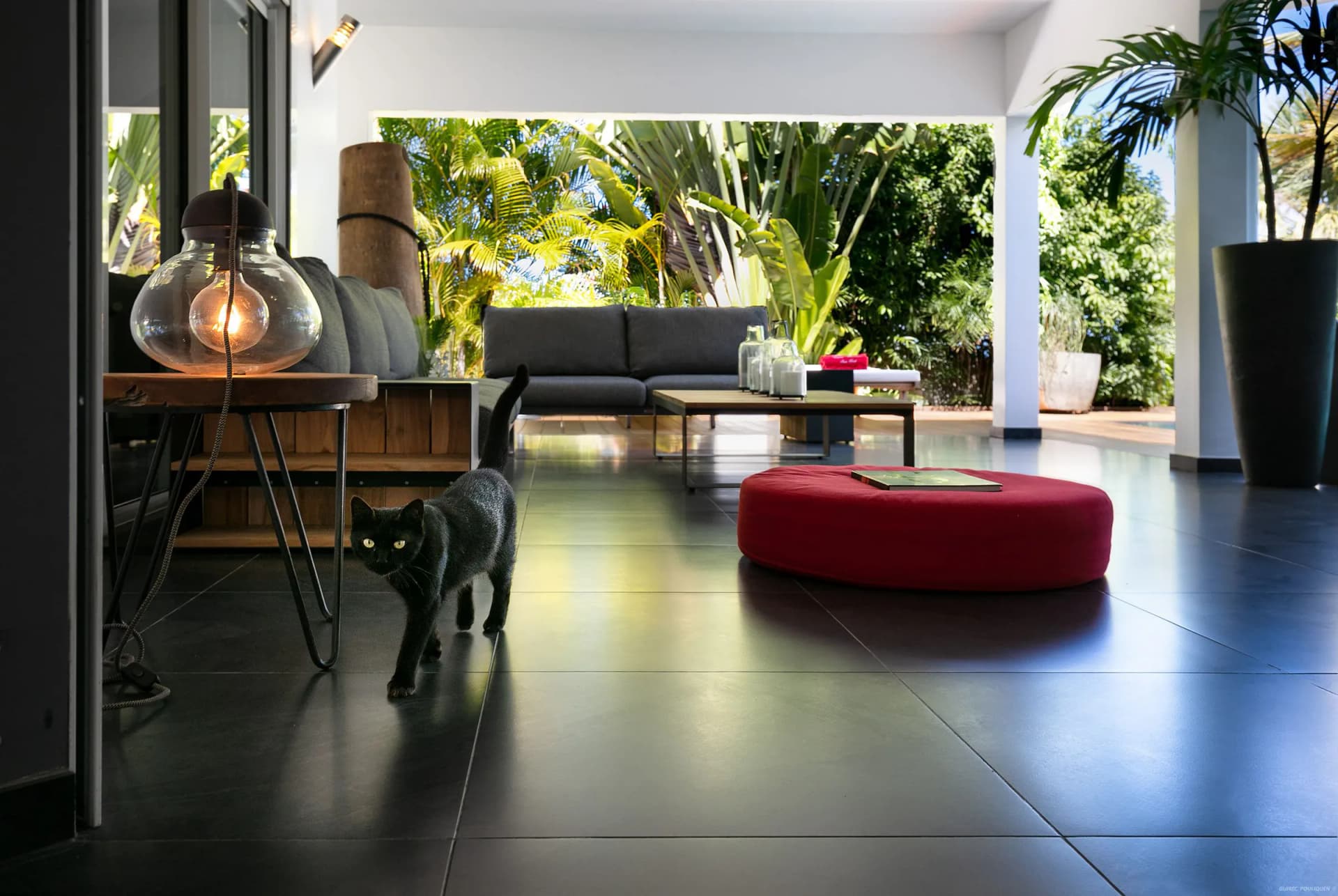 Villa Carmen & Apartment Loumag— Your Private Sanctuary in St. Barth! - Image 37